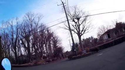 EDR February #3 (Helicopter Flies)