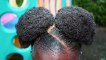 Natural Hair Style For Little Girls