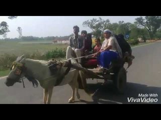 मिसाल बन गयी है यूपी की ये तांगेवाली