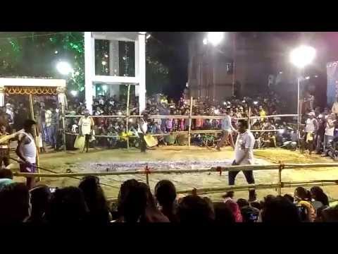 भगवान शिव को जलते अंगारों पर अग्निपरीक्षा देते भक्त