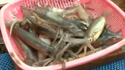 Biztonság és ínyencségek a téli olimpián