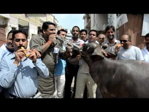 traders protest against gst