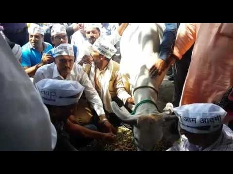 aam admi party workers protest against narveer singh