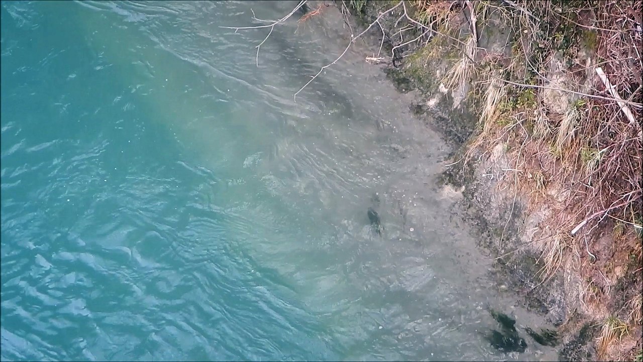 Janvier 2018.... suite