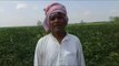 farmers lost 60 lakhs rupees in soybean cultivationdepressed