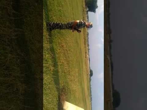 militants arrested in nepal border, SSB on high alert at open border