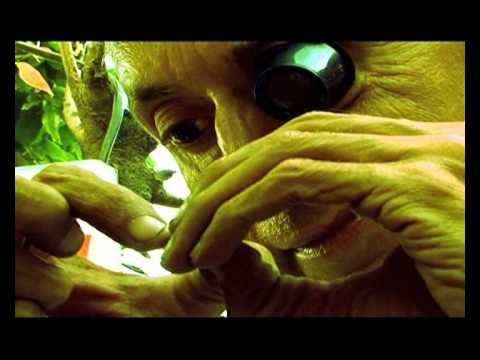 City Secrets: Finding lost time