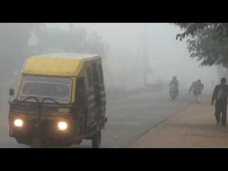 gonda lifecycle smooth in fog