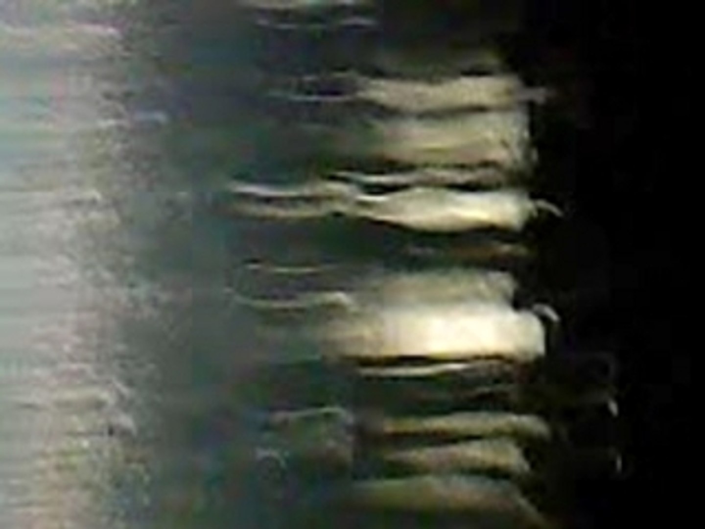 50cent concert à amnéville many men