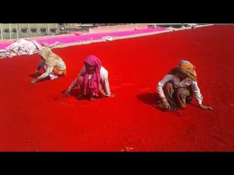 Holi festival is special in mathura, making of gulal