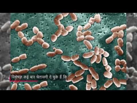 these 12 superbugs pose the greatest threat to human health who says