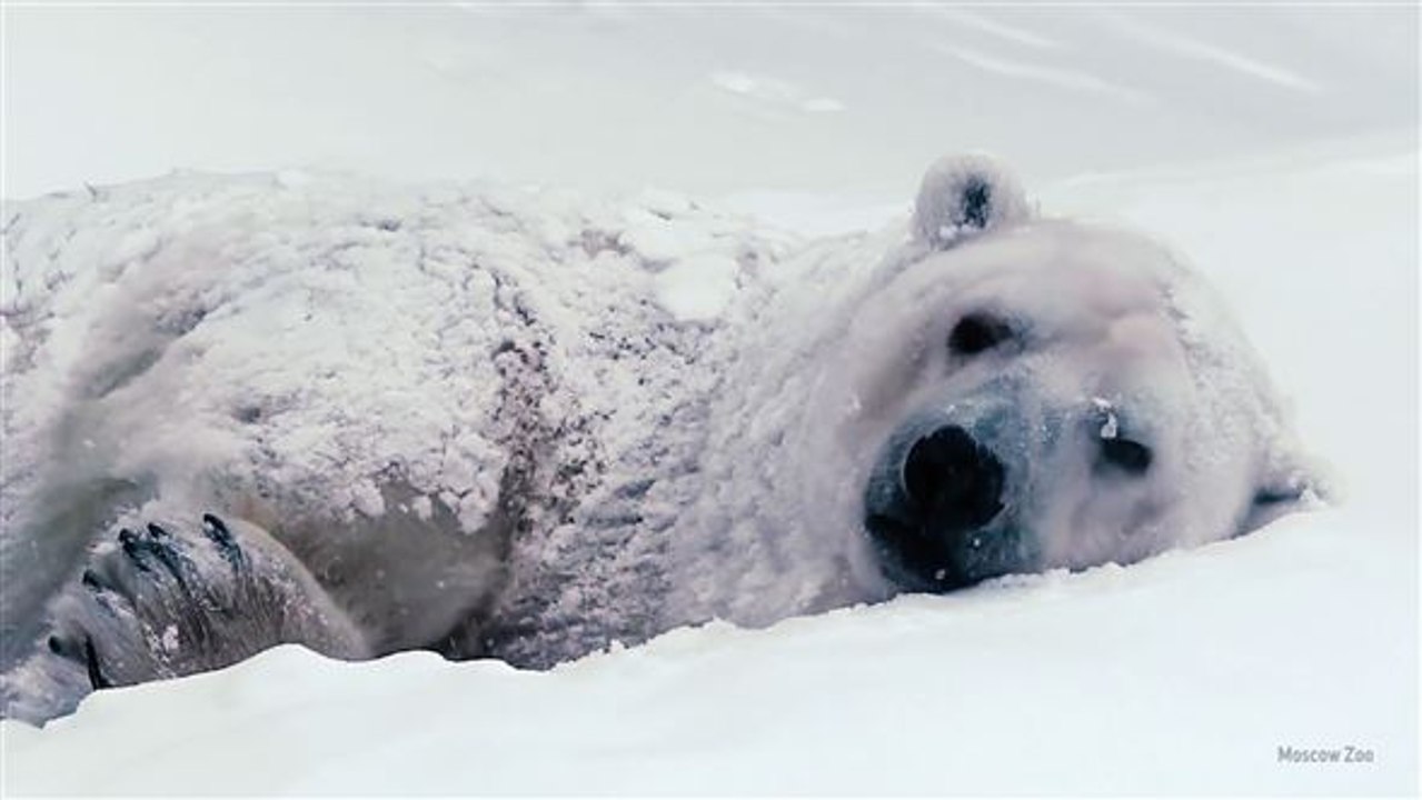 Weisser zauber: massive schneefälle in russland
