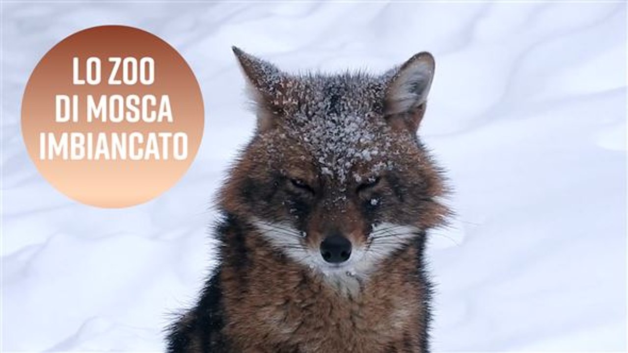 Mosca, la capitale 'rossa' si tinge di bianco