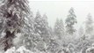Snowfall again starts in uttarakhand, temperature falls down