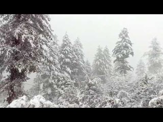 Video herunterladen: Snowfall again starts in uttarakhand, temperature falls down