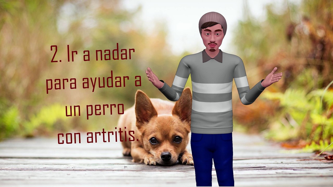 Cómo Ayudar a Un Perro Con Artritis, Formas Efectivas De Hacerlo