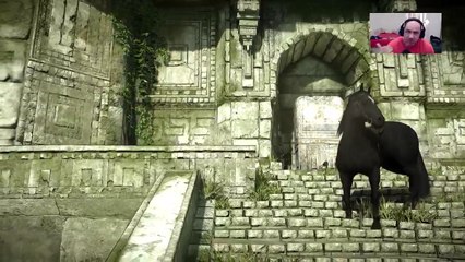 SHADOW OF THE COLOSSUS REMAKE (2)
