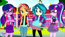 My Little Pony Equestria Girls Transforms Color Swap MLPEG Surprise Egg and Toy Collector SETC