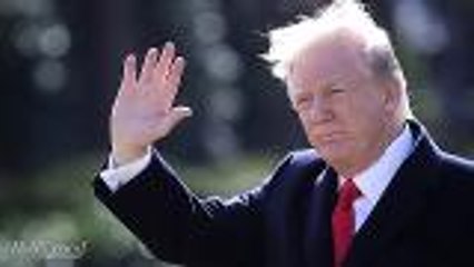 Late-Night Hosts Can't Get Enough of Trump's Balding Scalp Viral Video | THR News