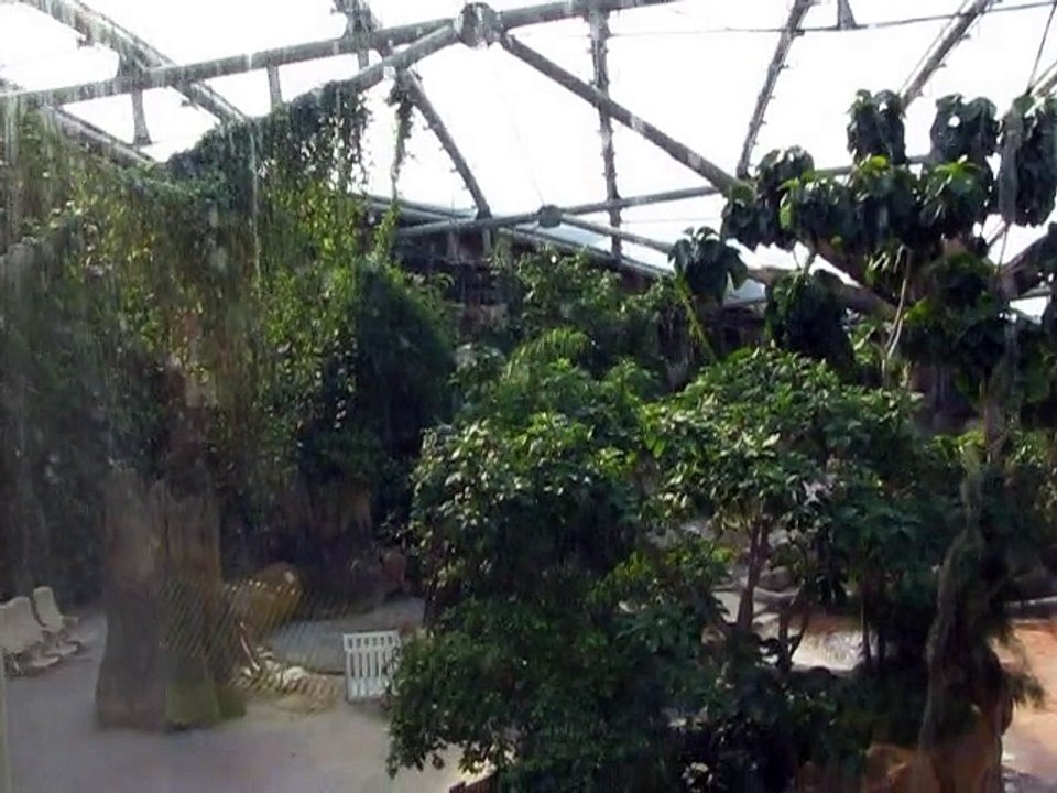 Center Parcs 2010 (2)