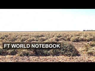 California gripped by drought | FT World Notebook