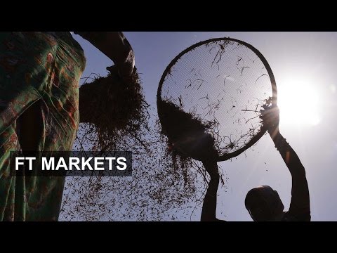 Should you invest in commodoties? | FT Markets