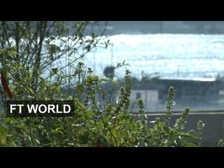 Hong Kong's urban farms | FT World