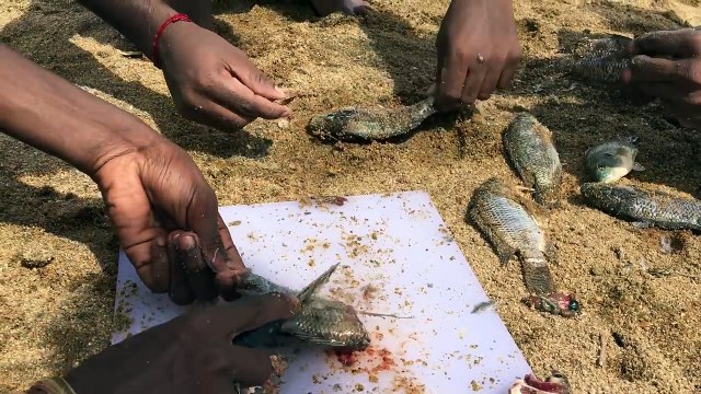 CATCH N COOK - Amazing Kid Catching Fish With His Bare Hands - Fresh Fish Fries in Our Village