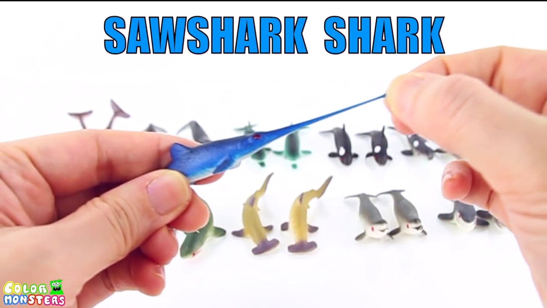 ⁣Learn Animals Name Sounds Animals - Learn Names Of Animals - Sea Animals|Water Animals