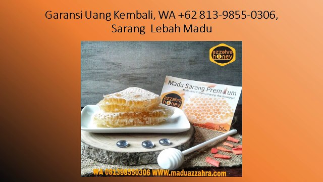 Garansi Uang Kembali, WA +62 813-9855-0306, sarang lebah madu