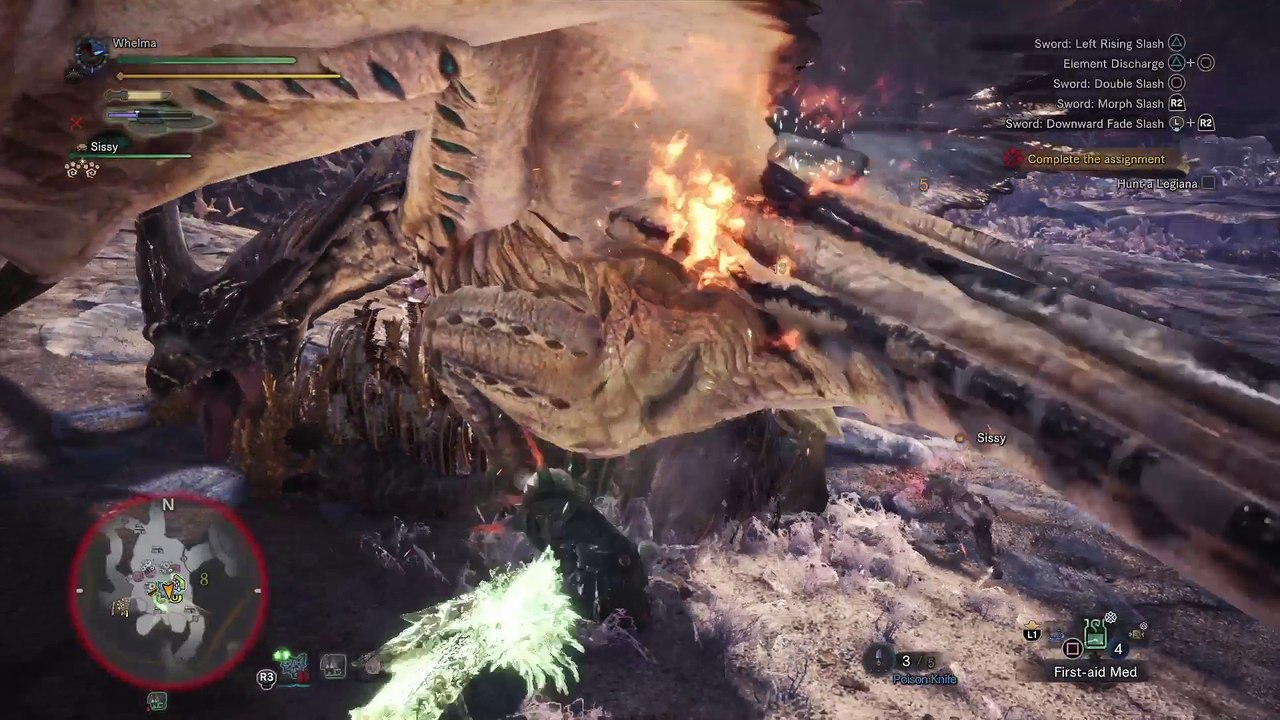 Monster Hunter: World™*