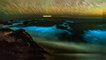 Fitoplancton luminescente in California