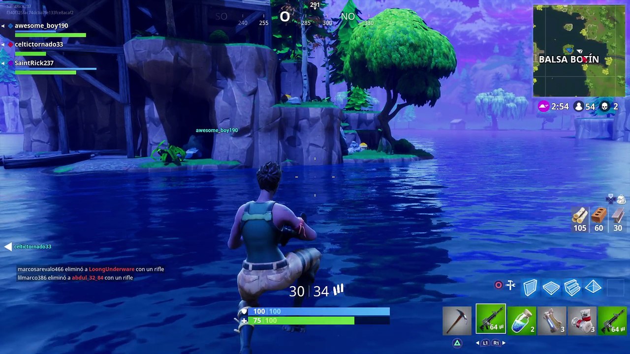Fortnite