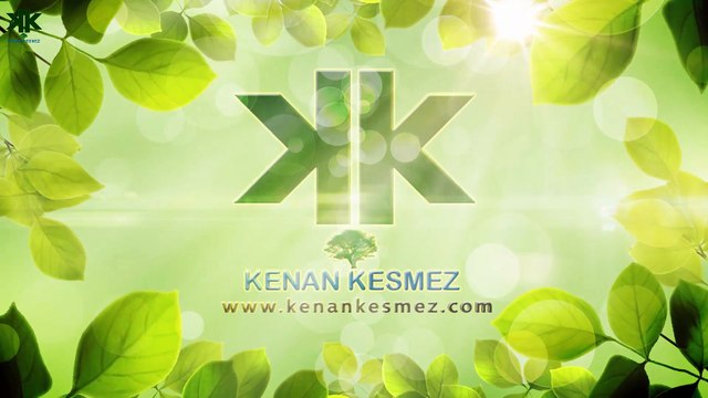 Kokarca yunus balığı (Alaca yunus balığı)