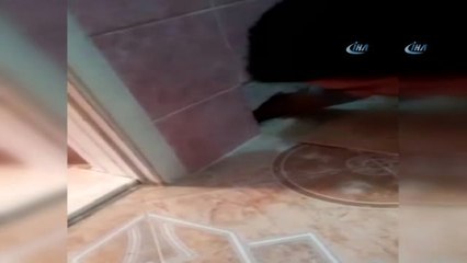 Duvarın İçinden Cephanelik Çıktı