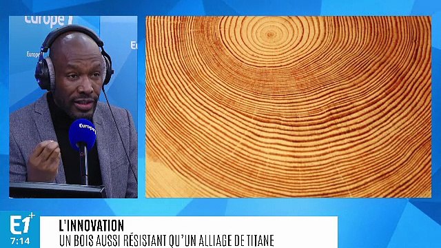 Construction : un bois aussi résistant qu’un alliage de titane