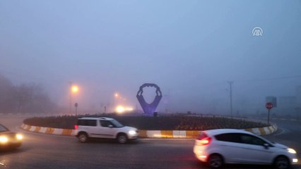 Sis yaşamı olumsuz etkiledi - EDİRNE