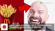 Kentang goreng McDonalds dapat obati kebotakan - TomoNews