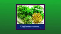 Coriander Green Leaves- How to make coriander leaves chutney