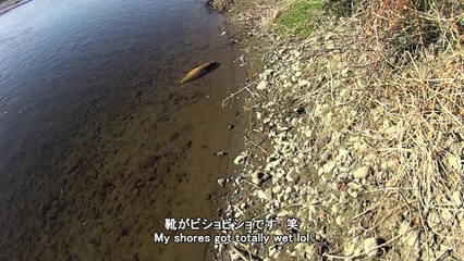 アホな釣り人の末路   Stupid fisherman got what he deserves