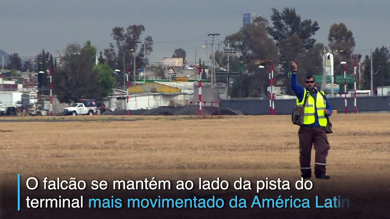 Funcionários especiais