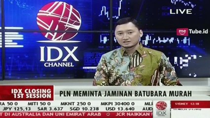 PLN Meminta Jaminan Batubara Murah Pada Presiden