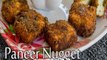 Paneer Nuggets Recipe | How to Prepare Paneer Nuggets | Paneer Bites | Boldsky