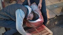 Mersin'de Dev Köpek Balığı, Balıkçıların Ağına Takıldı