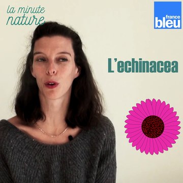 La minute nature : les 3 réflexes pour lutter contre les maux de l'hiver