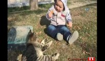 Kediyle simidini paylaşan çocuğun sevimli halleri kameraya yansıdı