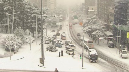 예보는 1cm 였는데...실제는 '폭설' 온 제주 / YTN