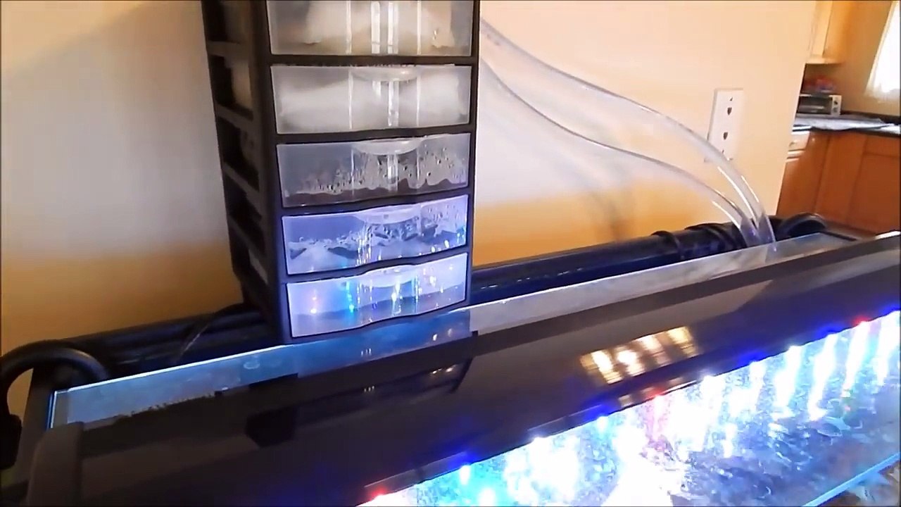 DIY trickle filter