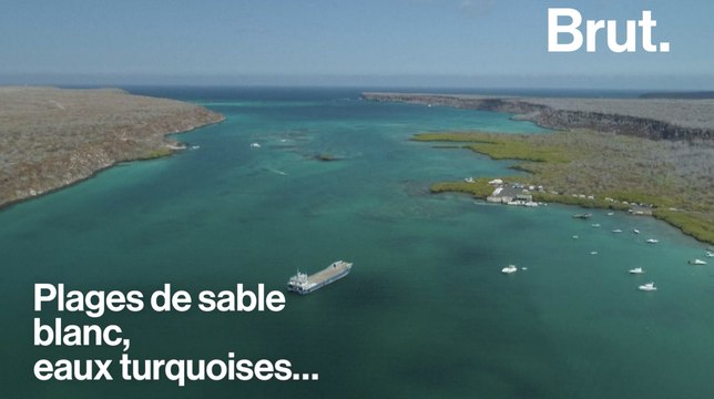 Les Îles Galápagos, un paradis menacé par le tourisme de masse