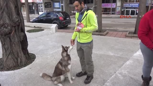 Edirne Hayvanlara Şiddete Karşı 14 Bin Kilometre Pedal Çevirecekler
